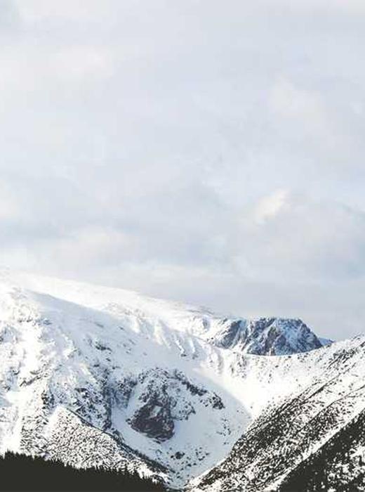 食材挑選與菜色開發