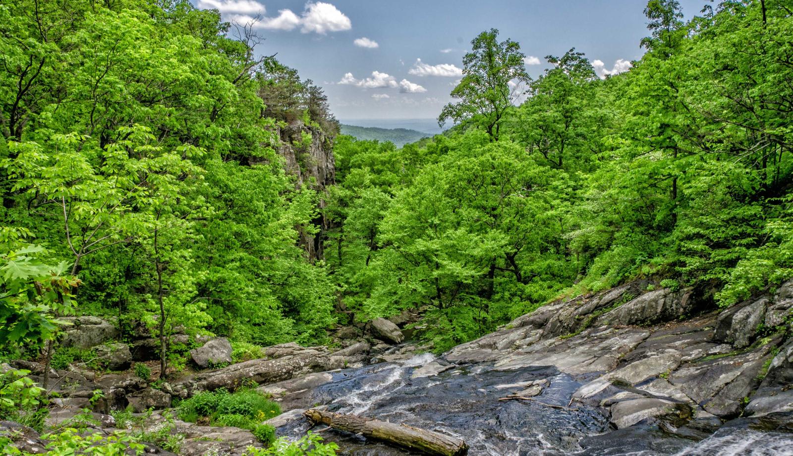木人艸外燴活動現場
